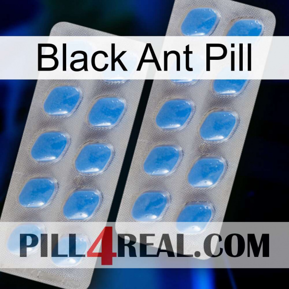 Black Ant Pill 23.jpg